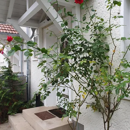 Vakantiehuis Wohnen Unter Freunden Arnstadt